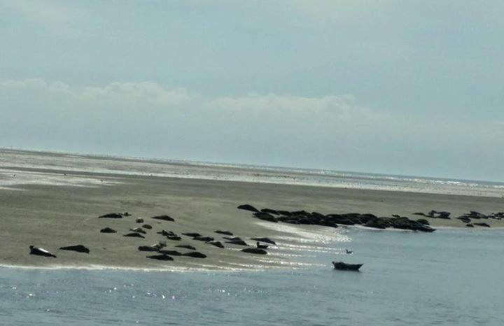 Relais Vacances A La Mer 2 Berck Zewnętrze zdjęcie